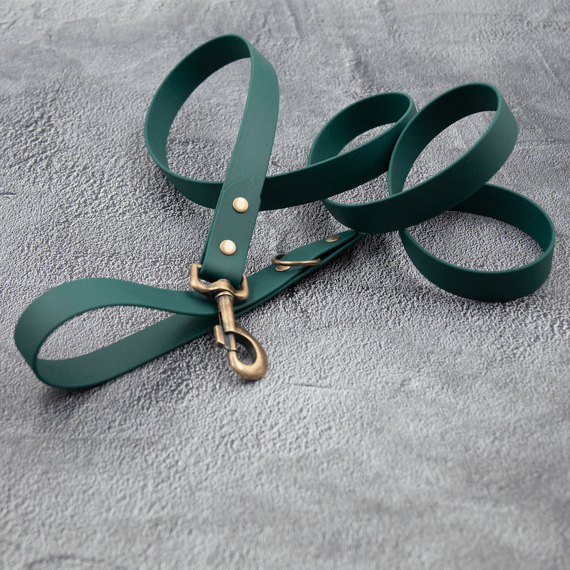 Classy pup - hundesnor - HipsterHound